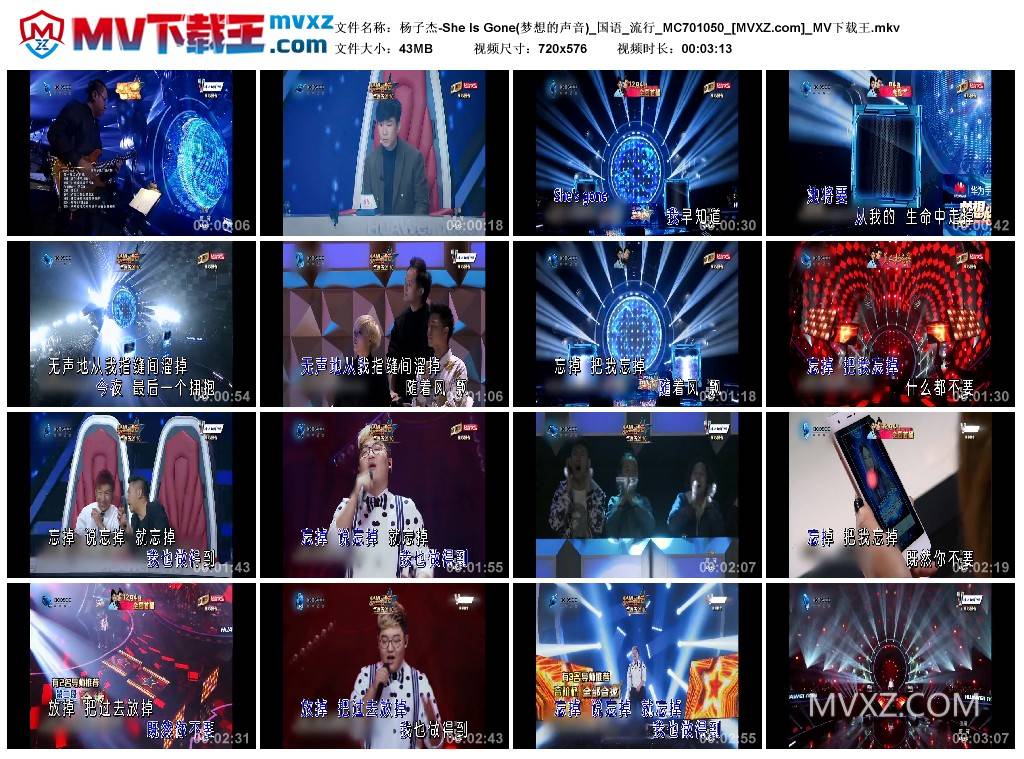 杨子杰-She Is Gone(梦想的声音)_国语_流行_MC701050